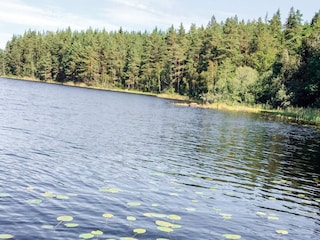 Vakantiehuis Flen  5