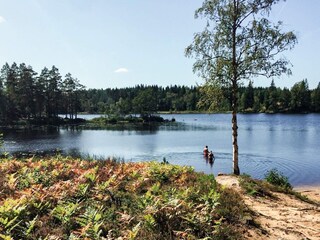 Maison de vacances Flen  11