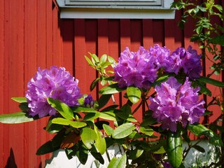 Vakantiehuis Lur Buitenaudio-opname 4