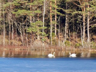 Vakantiehuis Lur  16