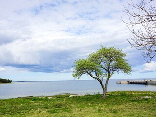 Ferienhaus Katthammarsvik  6