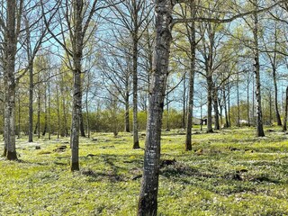 Casa de vacaciones Ulricehamn  30