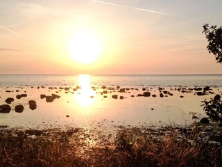 Vakantiehuis Visby  9