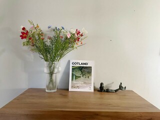 Vakantiehuis Visby  25