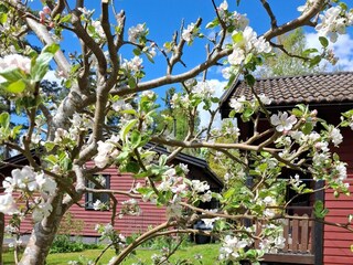 Vakantiehuis Norrtälje Buitenaudio-opname 3