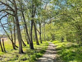 Vakantiehuis Norrtälje  11