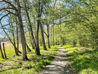 Vakantiehuis Norrtälje  24