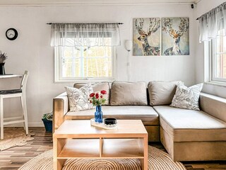 Vakantiehuis Vaggeryd  28