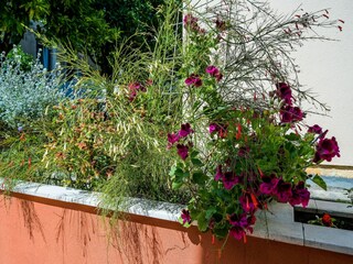 Apartment Dubrovnik Outdoor Recording 2
