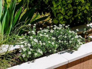 Apartamento Dubrovnik  29