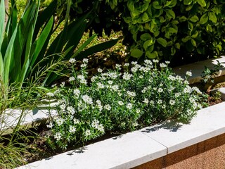 Appartement Dubrovnik  29