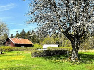 Ferienhaus Vargarda Außenaufnahme 3