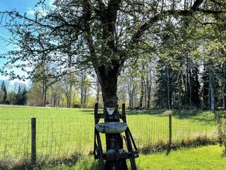 Ferienhaus Vargarda  7