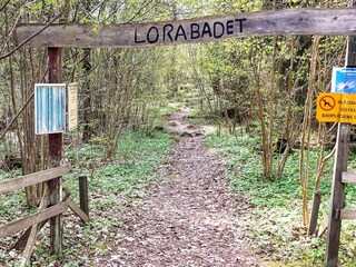 Ferienhaus Visjö  10