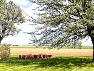 Ferienhaus Visjö Außenaufnahme 1