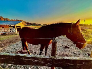 Vakantiehuis Tostared Buitenaudio-opname 3