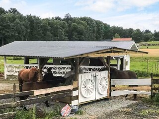 Holiday house Tostared Outdoor Recording 5