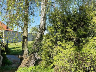 Ferienhaus Höllviken Außenaufnahme 9