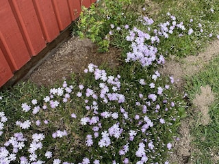 Holiday house Laksta Outdoor Recording 3