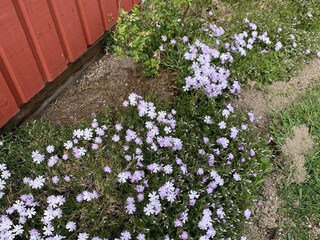 Vakantiehuis Laksta Buitenaudio-opname 3