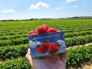 Vakantiepark Welt Buitenaudio-opname 2