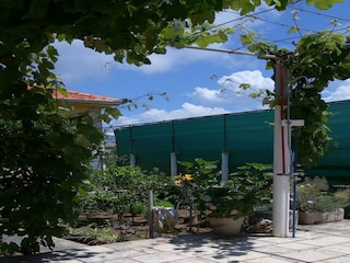 Ferienhaus Lumbarda Außenaufnahme 2