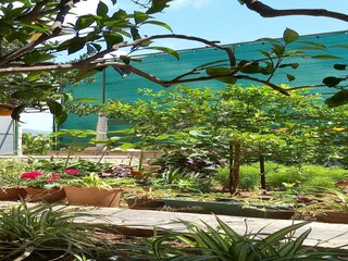 Casa de vacaciones Lumbarda Grabación al aire libre 4