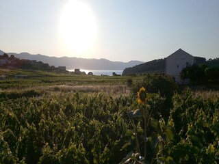 Ferienhaus Lumbarda  20