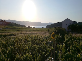 Maison de vacances Lumbarda  21