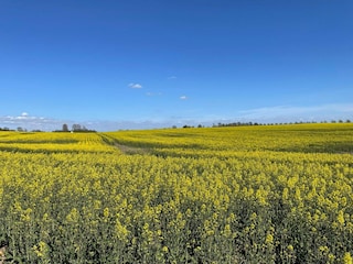 Holiday house Höör  14