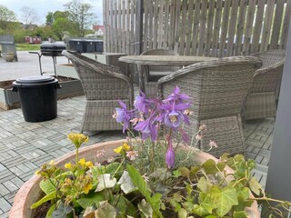 Holiday house Sölvesborg Outdoor Recording 10