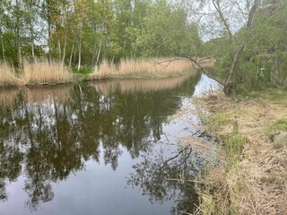 Vakantiehuis Sölvesborg Buitenaudio-opname 4