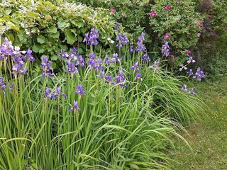 Vakantiehuis Lyngdal Buitenaudio-opname 5