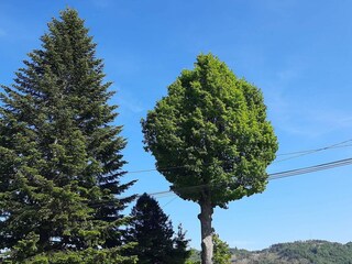 Vakantiehuis Lyngdal Buitenaudio-opname 8