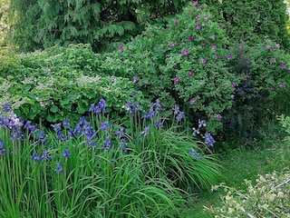 Holiday house Lyngdal Outdoor Recording 1