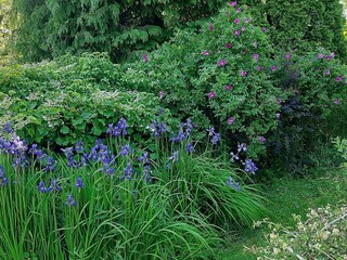 Vakantiehuis Lyngdal Buitenaudio-opname 10