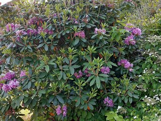 Vakantiehuis Lyngdal Buitenaudio-opname 4