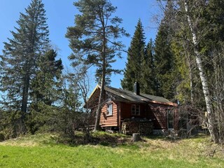 Vakantiehuis Bjorbekk  8