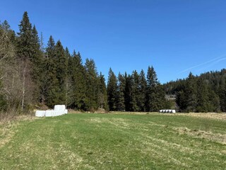 Holiday house Bjorbekk  11