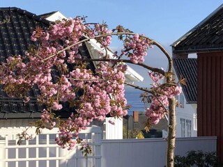 Vakantiehuis Welt Buitenaudio-opname 3