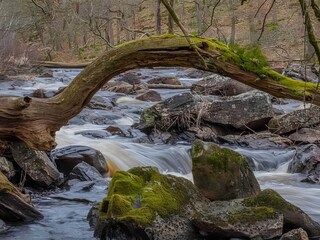 Vakantiehuis Ästad  16