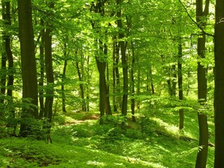 Ferienhaus Ästad  17