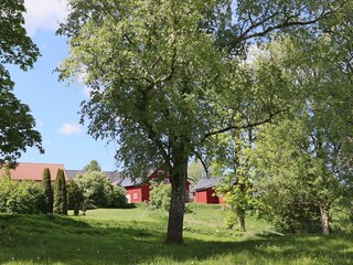 Ferienhaus Ästad Außenaufnahme 13
