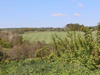 Ferienhaus Ästad Außenaufnahme 4