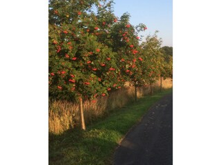 Der Herbst kündigt sich an