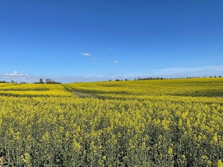 Holiday house Höör  11