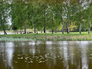 Vakantiehuis Welt  17