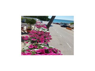 Appartamento Posedarje Registrazione all'aperto 3