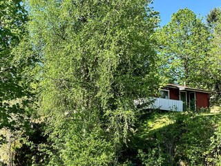 Vakantiehuis Hedekas Buitenaudio-opname 3