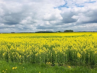 Holiday house Hedekas  35